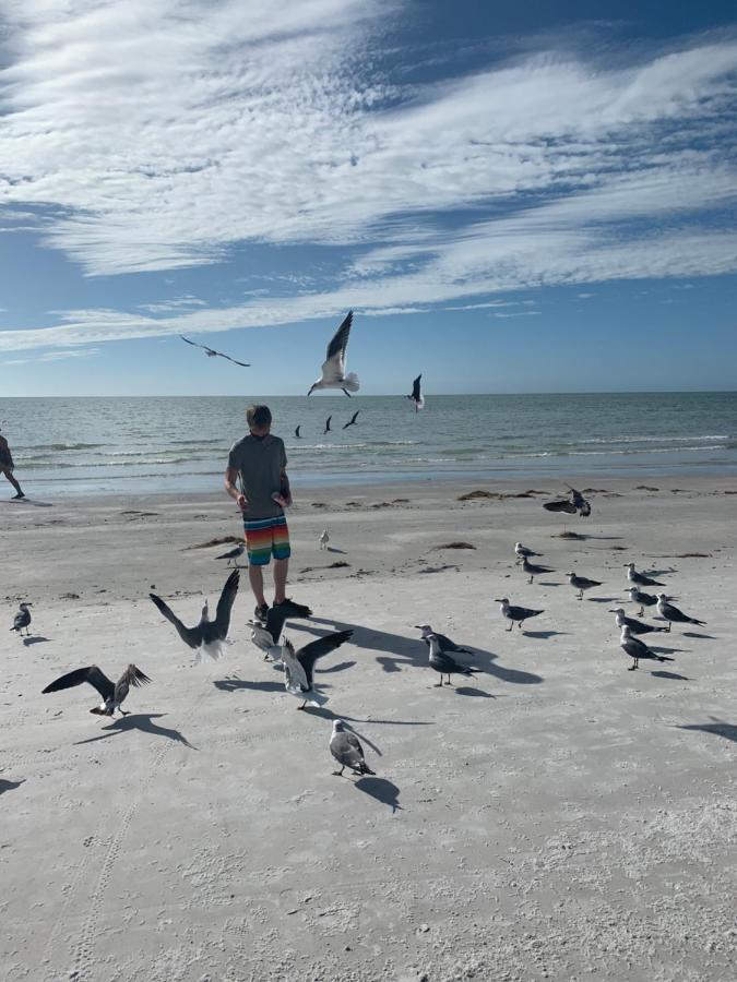 Sea Club Condo #37 Clearwater Beach Dış mekan fotoğraf